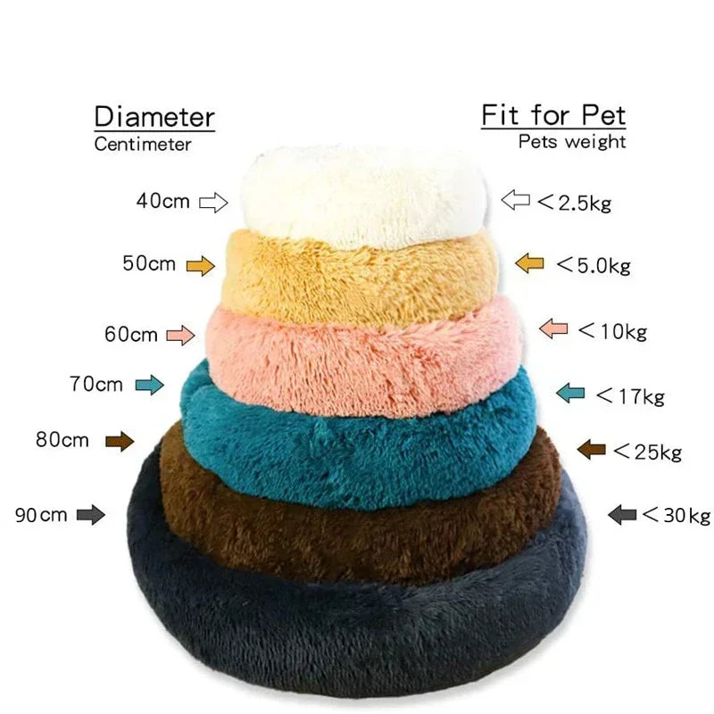 Cat Bed