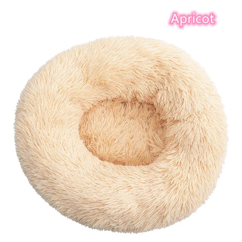 Cat Bed