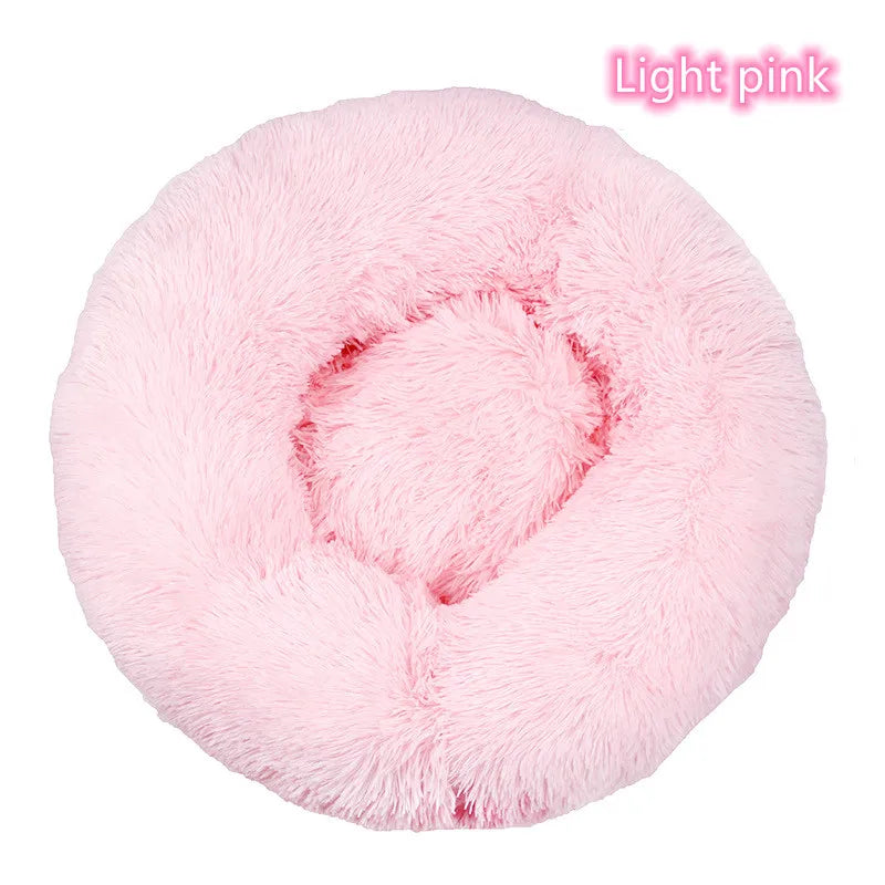 Cat Bed