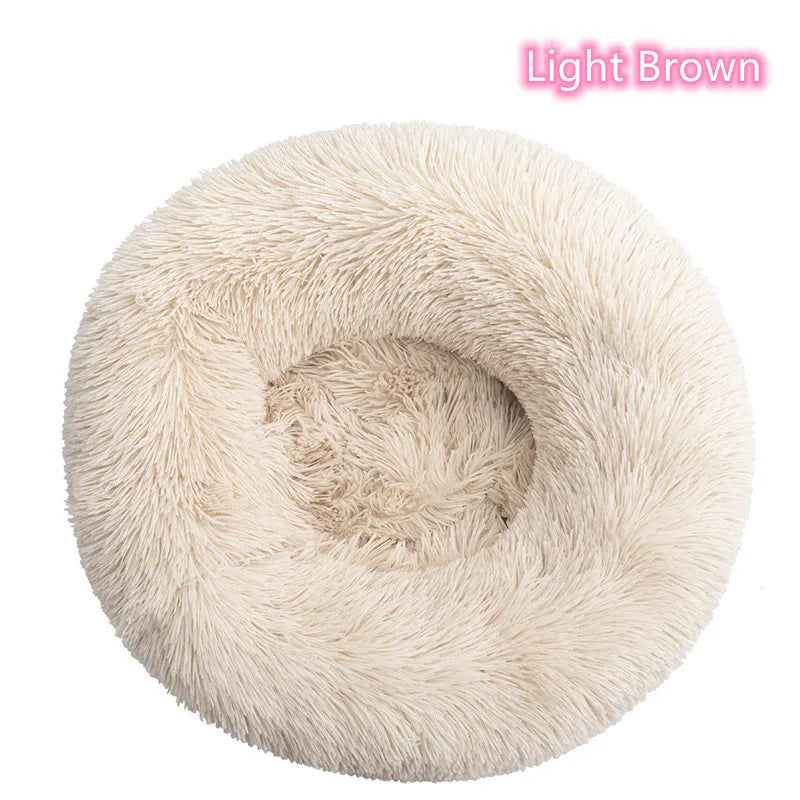 Cat Bed