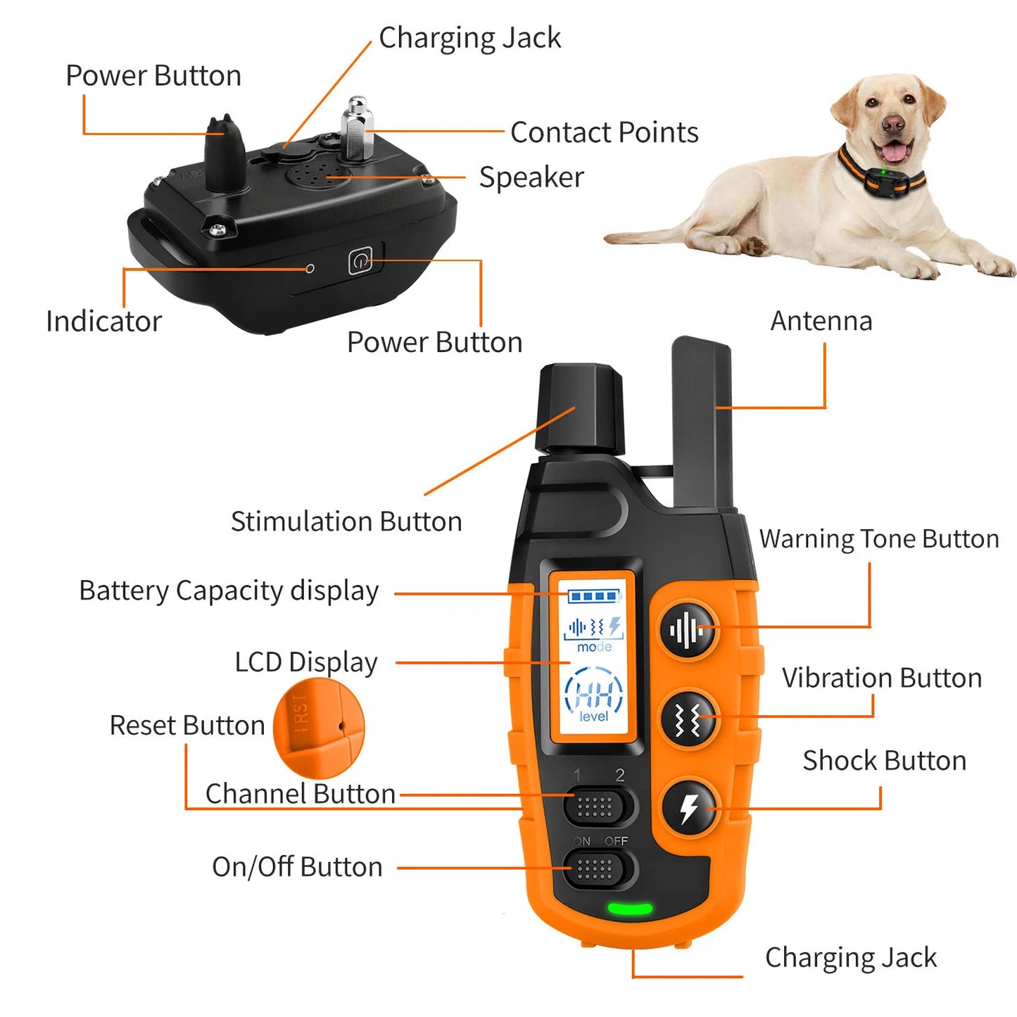 Electric Dog Training Waterproof Pet BehaviorFor