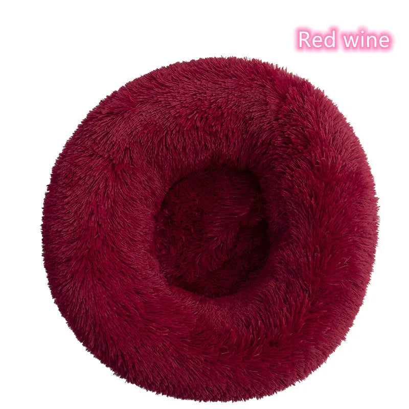 Cat Bed