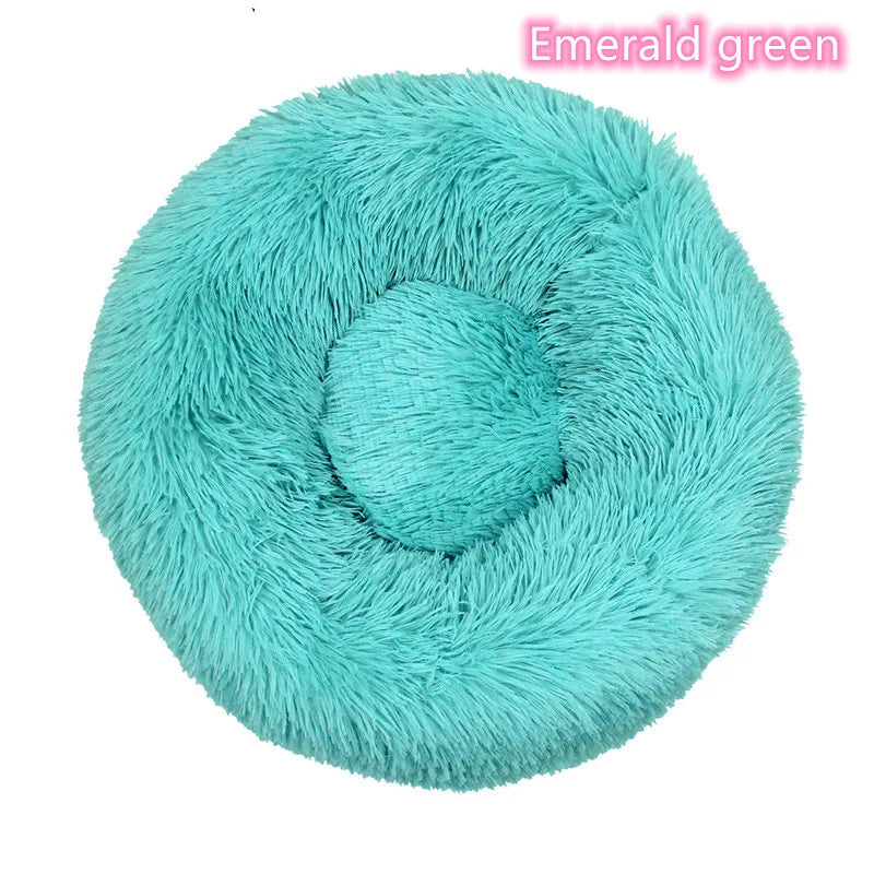 Cat Bed