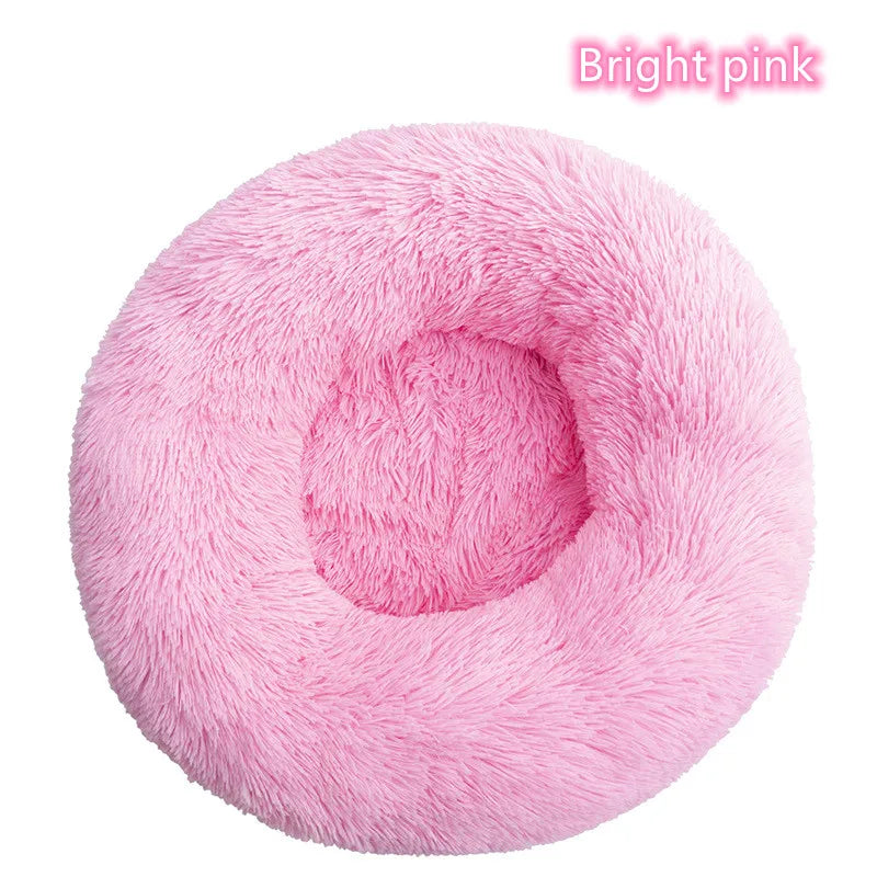 Cat Bed