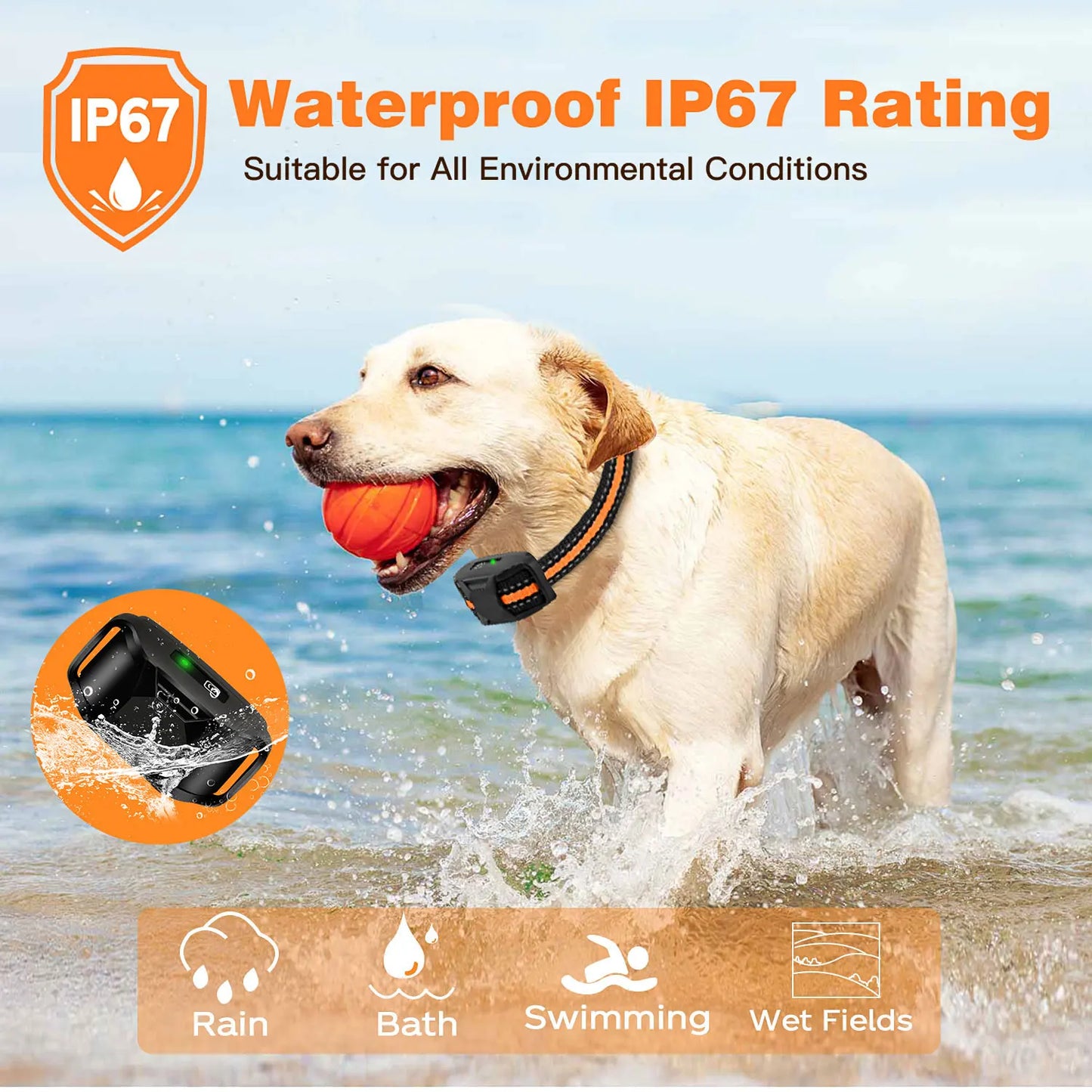 Electric Dog Training Waterproof Pet BehaviorFor