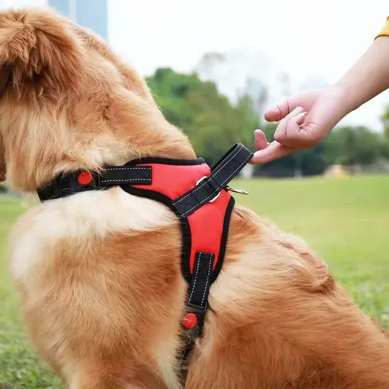 Adjustable Dog Cat Harness