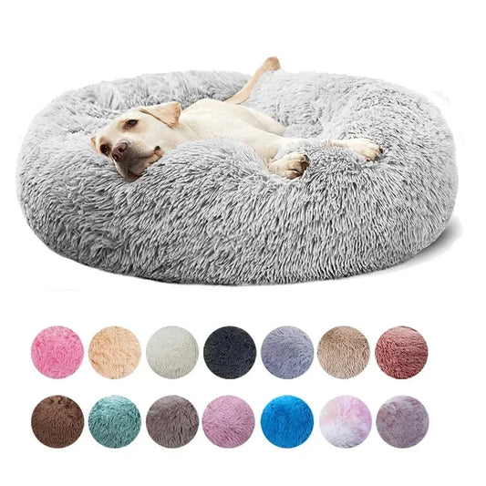 Cat Bed