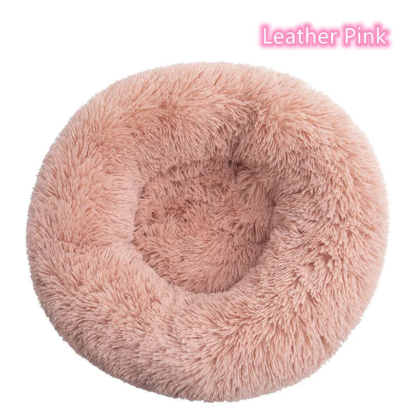 Cat Bed