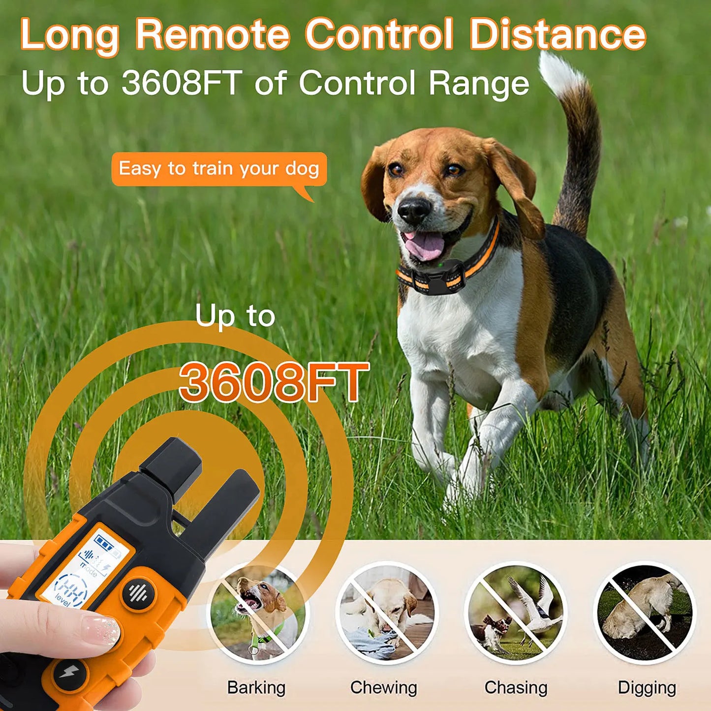Electric Dog Training Waterproof Pet BehaviorFor