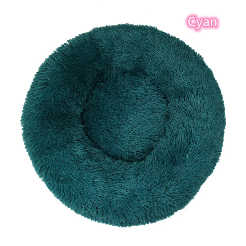 Cat Bed