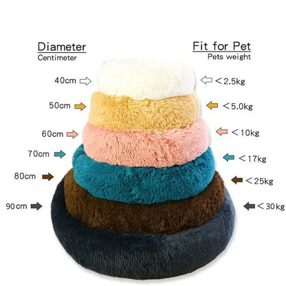 Cat Bed
