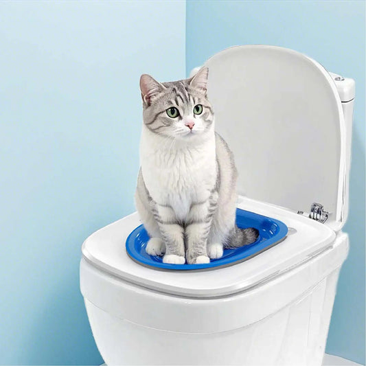 Cat Toilet