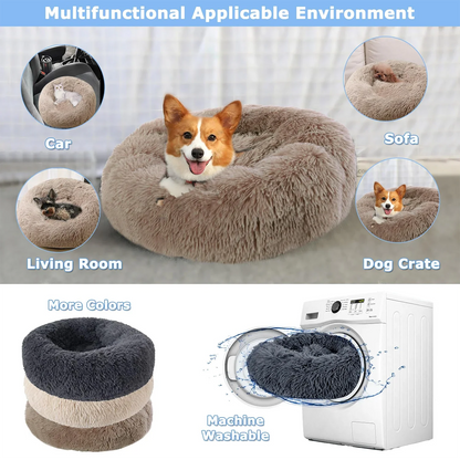 Cat Bed