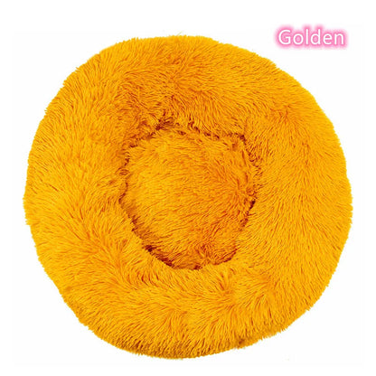 Cat Bed