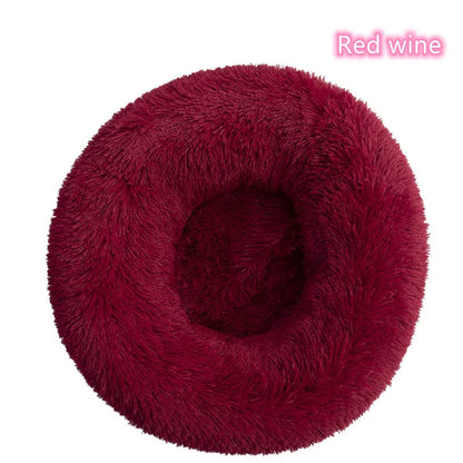 Cat Bed