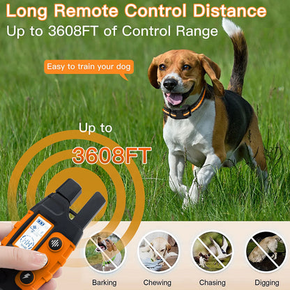 Electric Dog Training Waterproof Pet BehaviorFor
