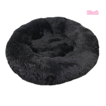 Cat Bed