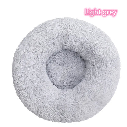 Cat Bed